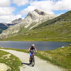 Home kryo x26 mtb model x